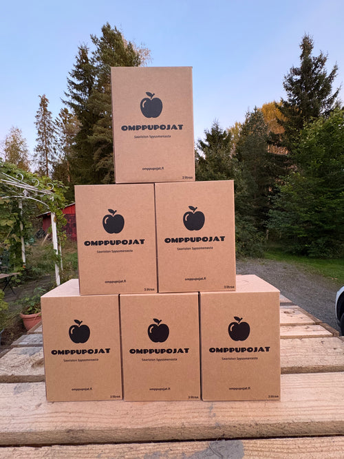 Omenamehu 6-pack, 18 litraa